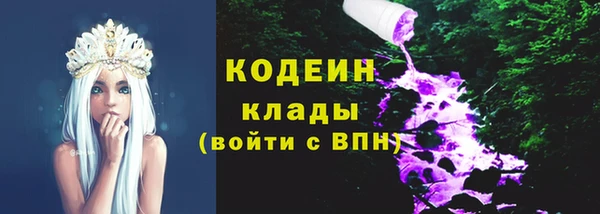 крисы Армянск
