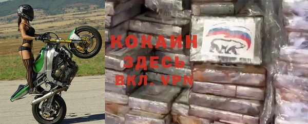 крисы Армянск