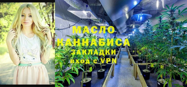 крисы Армянск